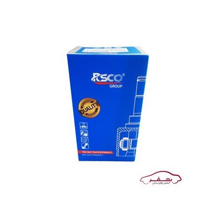 مشعلي پلوس كوتاه 24 خار پژو 405 |RSCo